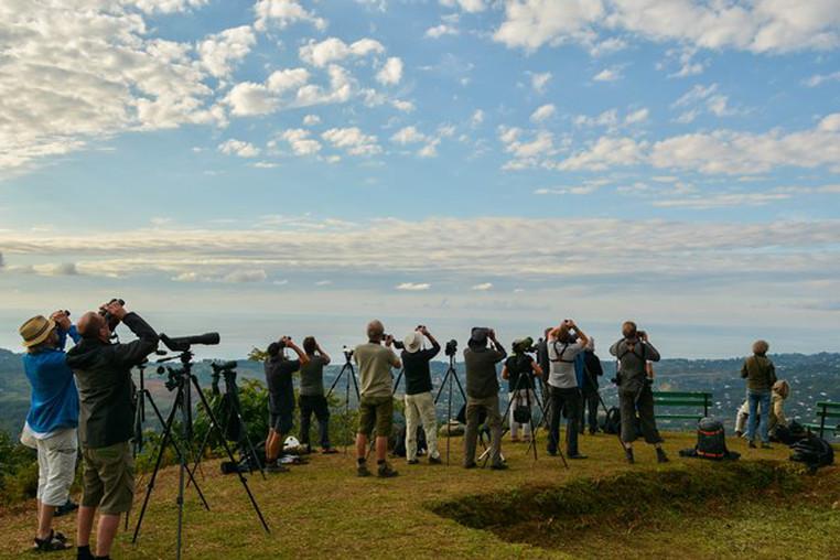 ბათუმმა ფრინველებზე დაკვირვების საერთაშორისო ფესტივალს უმასპინძლა